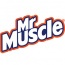 MR MUSCLE